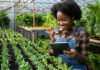 Best Agriculture Courses in Kenya: Every Farming, Agribusiness & Agricultural Training Programme You Need to Know