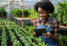 Best Agriculture Courses in Kenya: Every Farming, Agribusiness & Agricultural Training Programme You Need to Know