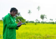 Agriculture Degree Courses in Kenya: The Complete 2026 Guide for Students