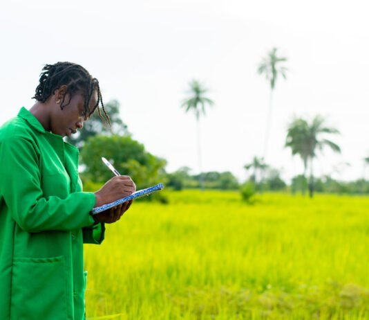 Agriculture Degree Courses in Kenya: The Complete 2026 Guide for Students