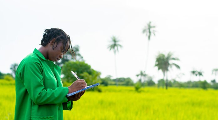 Agriculture Degree Courses in Kenya: The Complete 2026 Guide for Students